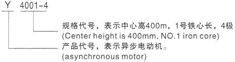 西安泰富西玛Y系列(H355-1000)高压YJTG-112M-6A/2.2KW三相异步电机型号说明